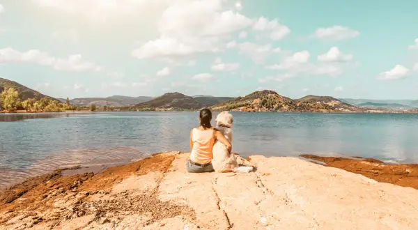 Une femme et son chien profitent d'une vue paisible sur un lac. Un moment de complicité au bord de l'eau, parfait pour un lac pour chien.