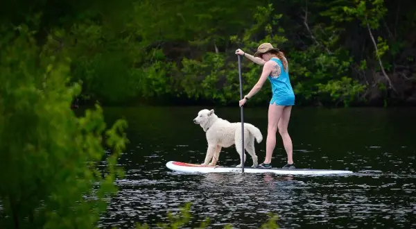 Une femme et son chien profitent d'une activité insolite : du paddle sur un lac entouré de verdure.