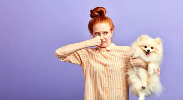 Une femme pince son nez, visiblement dérangée par l'odeur de son adorable petit chien. Mon chien sent mauvais, mais il est tellement mignon !