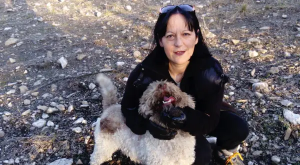 Une femme accroupie montre une truffe trouvée par son chien truffier. Le chien, un Lagotto romagnolo, tient la truffe dans sa gueule.