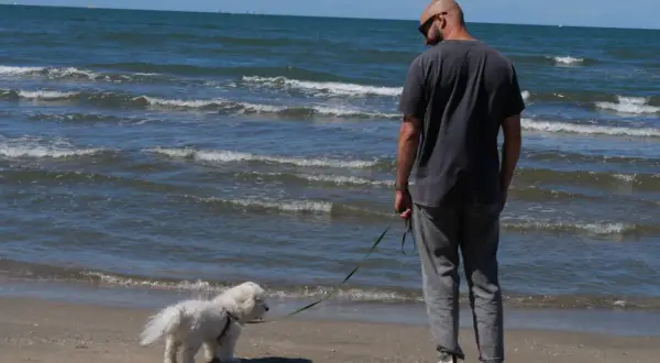 Un homme et son chien profitent d'une journée ensoleillée sur la plage du Grau-du-Roi, où les chiens sont autorisés.