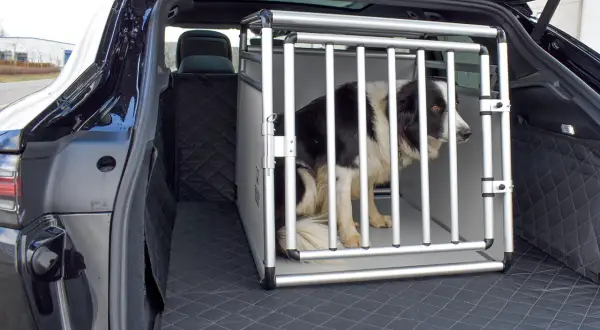 Un chien border collie attend patiemment dans une cage pour chien 90x60, installée dans le coffre d'une voiture.