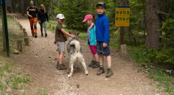 En balade près du lac Lauvitel, un chien husky interagit avec des enfants sur un sentier forestier.