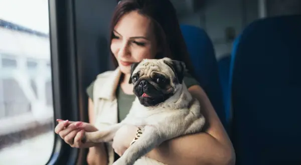 Une jeune femme tient son carlin, prêt à prendre l'Eurostar avec son chien.