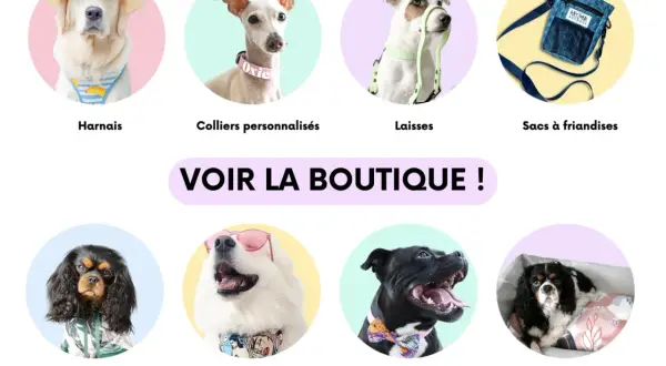 Un chien blanc porte un bandana réversible avec des motifs de bande dessinée. Il est à côté d'un chien noir avec un nœud papillon.
