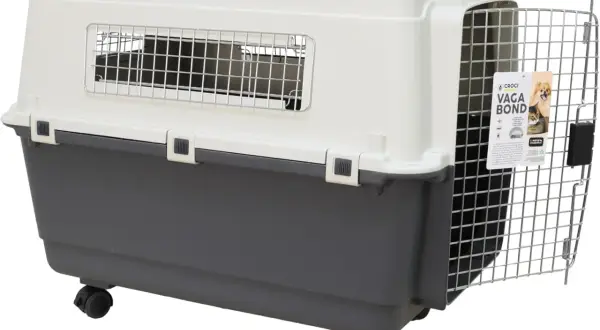 Grande cage de transport pour chien XXL, homologuée IATA, avec roulettes et porte métallique. Idéale pour les voyages de votre compagnon.