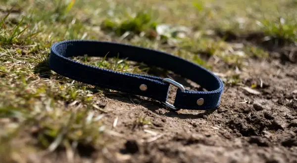 Un licol chien bleu marine, simple et solide, repose sur la terre et l'herbe. Prêt pour l'aventure !