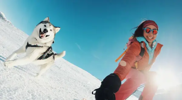 Un chien ski, tout sourire, dévale la pente enneigée aux côtés de sa maîtresse en ski. Le ciel est d'un bleu éclatant.