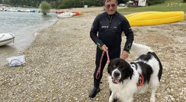 Homme en combinaison de plongée avec son chien noir et blanc sur la plage du lac de Vouglans. Chien autorisé, prêt pour une baignade.
