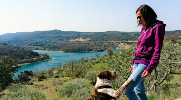 Un chien joueur lève la patte vers sa maîtresse, profitant d'une vue magnifique sur le lac de Sainte-Croix, au cœur des Gorges du Verdon.