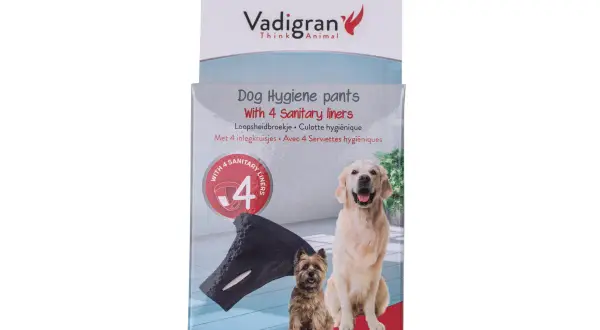 Emballage de slip pour chien Vadigran avec 4 serviettes hygiéniques. Deux chiens, un golden retriever et un terrier, posent devant.