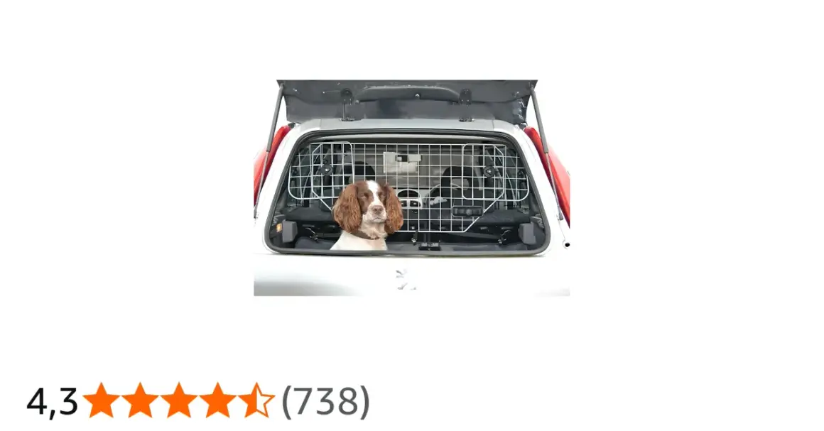 Un chien Springer Spaniel attend patiemment dans le coffre d'une voiture, séparé par une grille. Ce système de séparation chien voiture assure un voyage en toute sécurité.