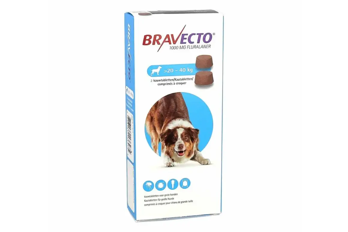 Boîte de Bravecto, une pilule pour chienne de grande taille, contenant 2 comprimés à croquer pour protéger contre les parasites.