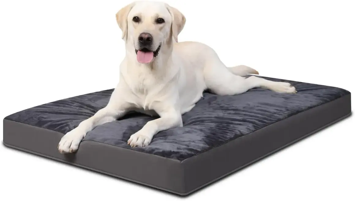 Un labrador blanc se repose sur un coussin ergonomique pour chien gris foncé, l'air heureux et détendu.