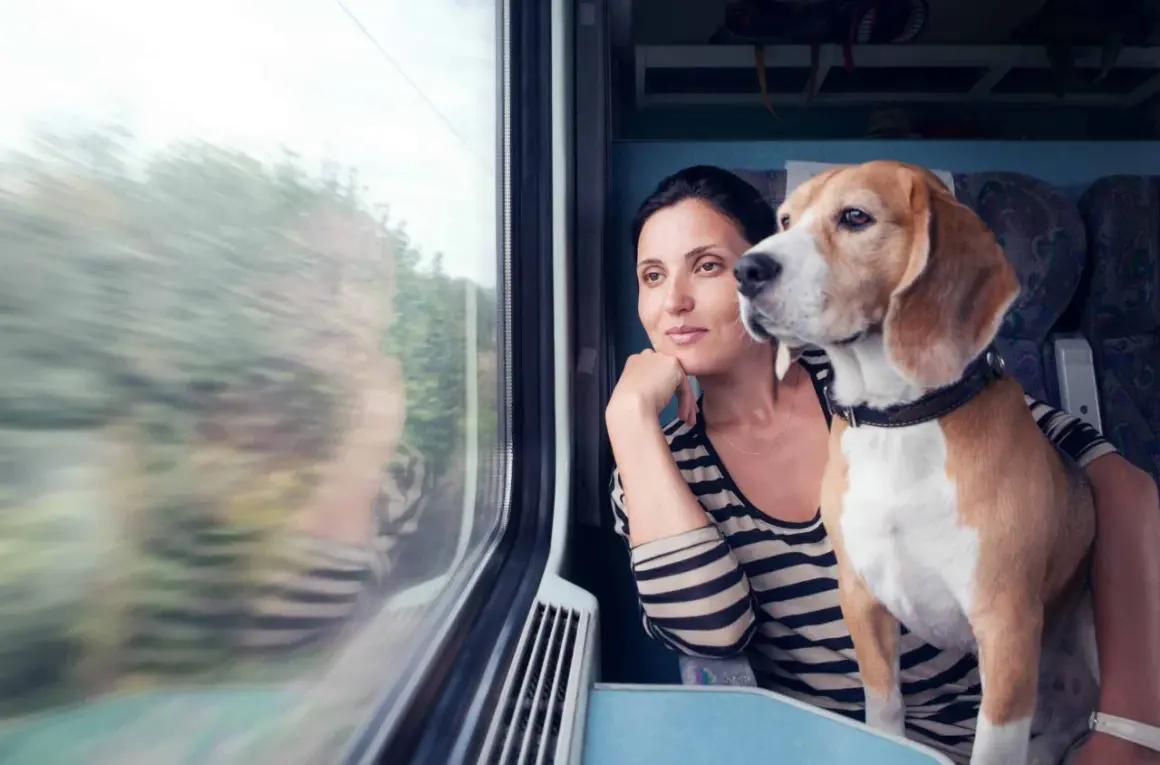 Une femme et son chien regardent par la fenêtre d'un train. Ils voyagent paisiblement, espérant ne pas recevoir d'amende pour chien SNCF.