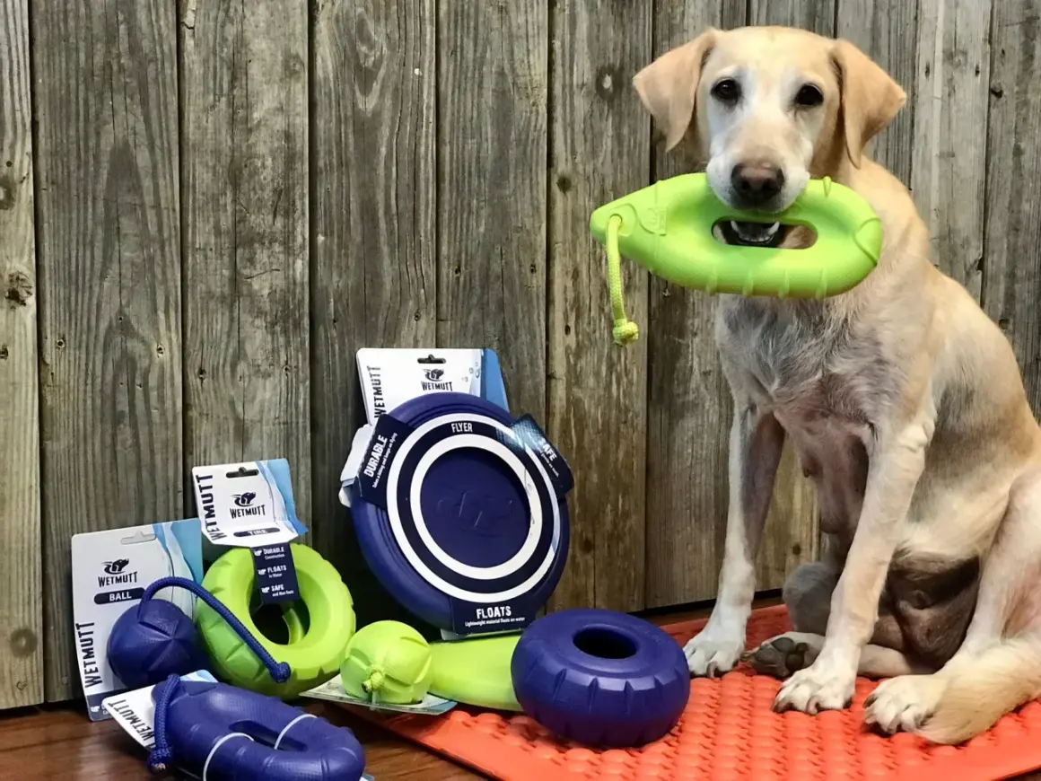 Un chien tient un jouet vert dans sa gueule, entouré de jouets pour chiens, dont une balle flottante.