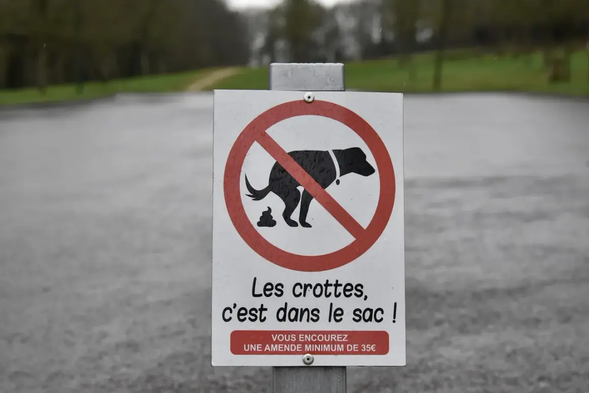 Panneau interdisant le caca de chien. Les crottes doivent être ramassées dans un sac, sous peine d'amende.