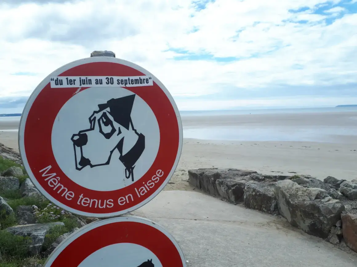 Panneau "Même tenus en laisse" sur une plage accessible aux chiens, du 1er juin au 30 septembre.