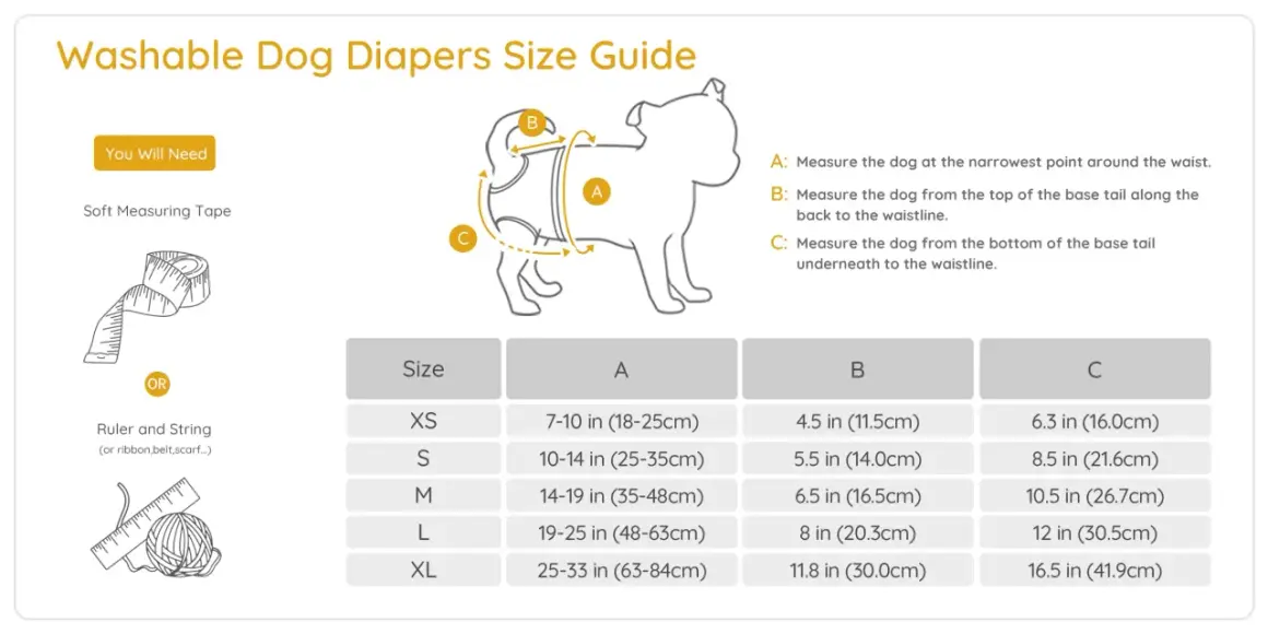Guide des tailles pour culotte chien lavable. Mesurez votre chien pour trouver la bonne taille.