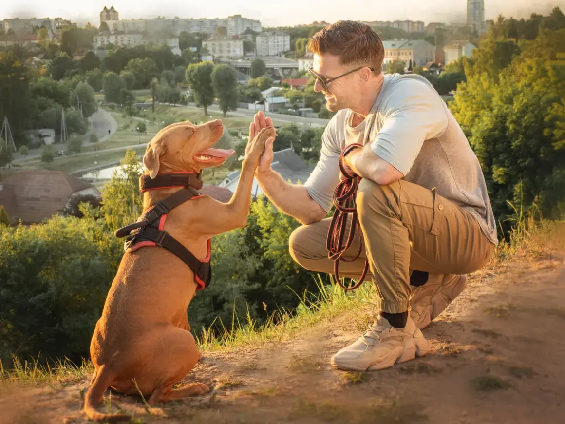 Un éducateur canin comportementaliste félicite son chien pour un bon comportement. Ils sont en extérieur, avec une ville en arrière-plan.