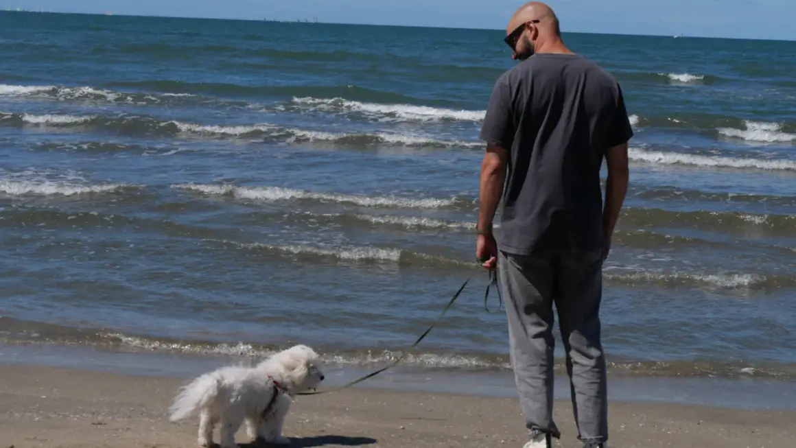 Un homme et son chien profitent d'une journée ensoleillée sur la plage du Grau-du-Roi, où les chiens sont autorisés.