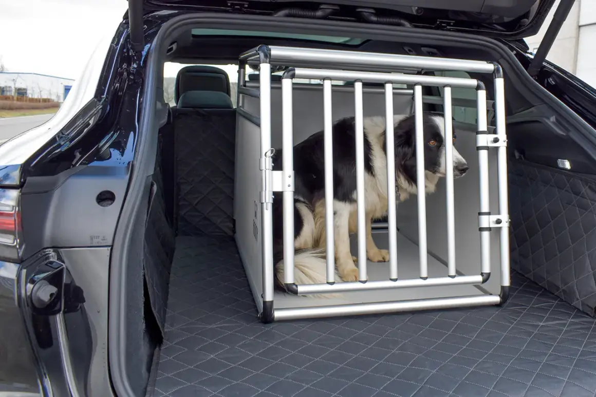 Un chien border collie attend patiemment dans une cage pour chien 90x60, installée dans le coffre d'une voiture.