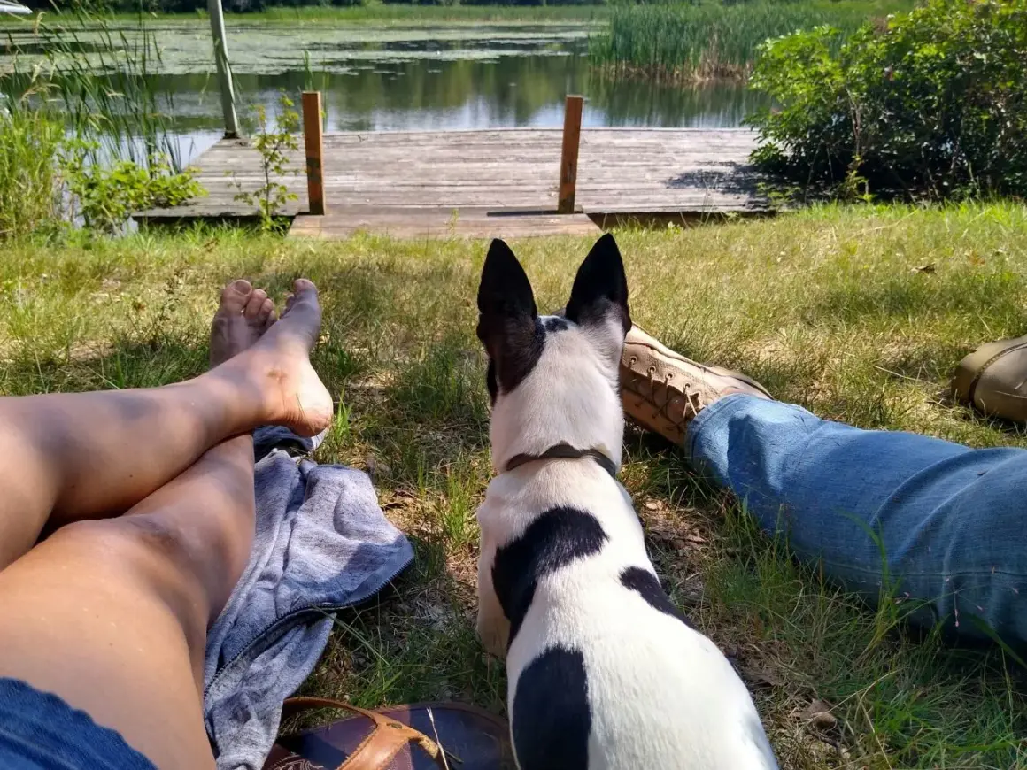Un chien noir et blanc profite du camping avec ses humains près d'un lac. Idéal pour le camping chiens acceptés.
