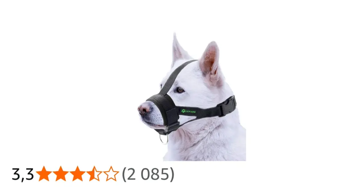 Un chien blanc porte une muselière en nylon noire, conçue pour le confort et la sécurité.