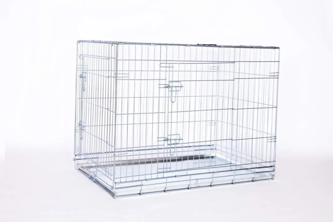 Une cage métal chien vide, prête à accueillir un compagnon. Elle est faite de barreaux argentés et possède un plateau amovible.