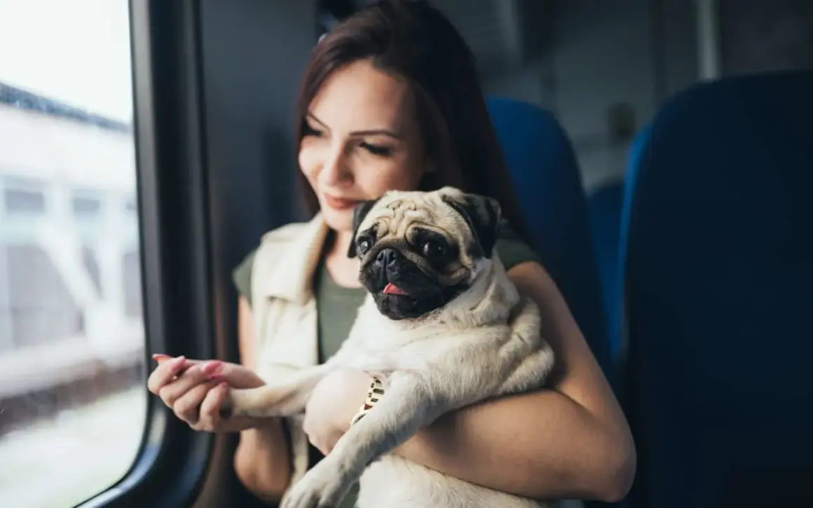 Une jeune femme tient son carlin, prêt à prendre l'Eurostar avec son chien.