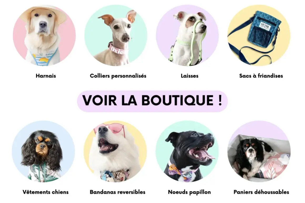 Un chien blanc porte un bandana réversible avec des motifs de bande dessinée. Il est à côté d'un chien noir avec un nœud papillon.
