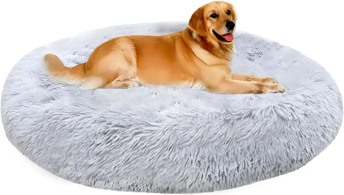 Un chien golden retriever se repose sur un panier chien rond moelleux et gris.
