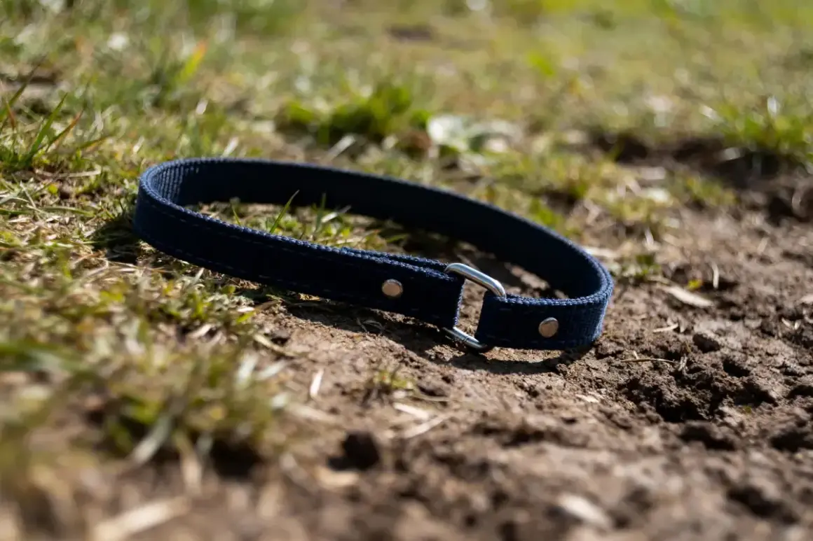 Un licol chien bleu marine, simple et solide, repose sur la terre et l'herbe. Prêt pour l'aventure !