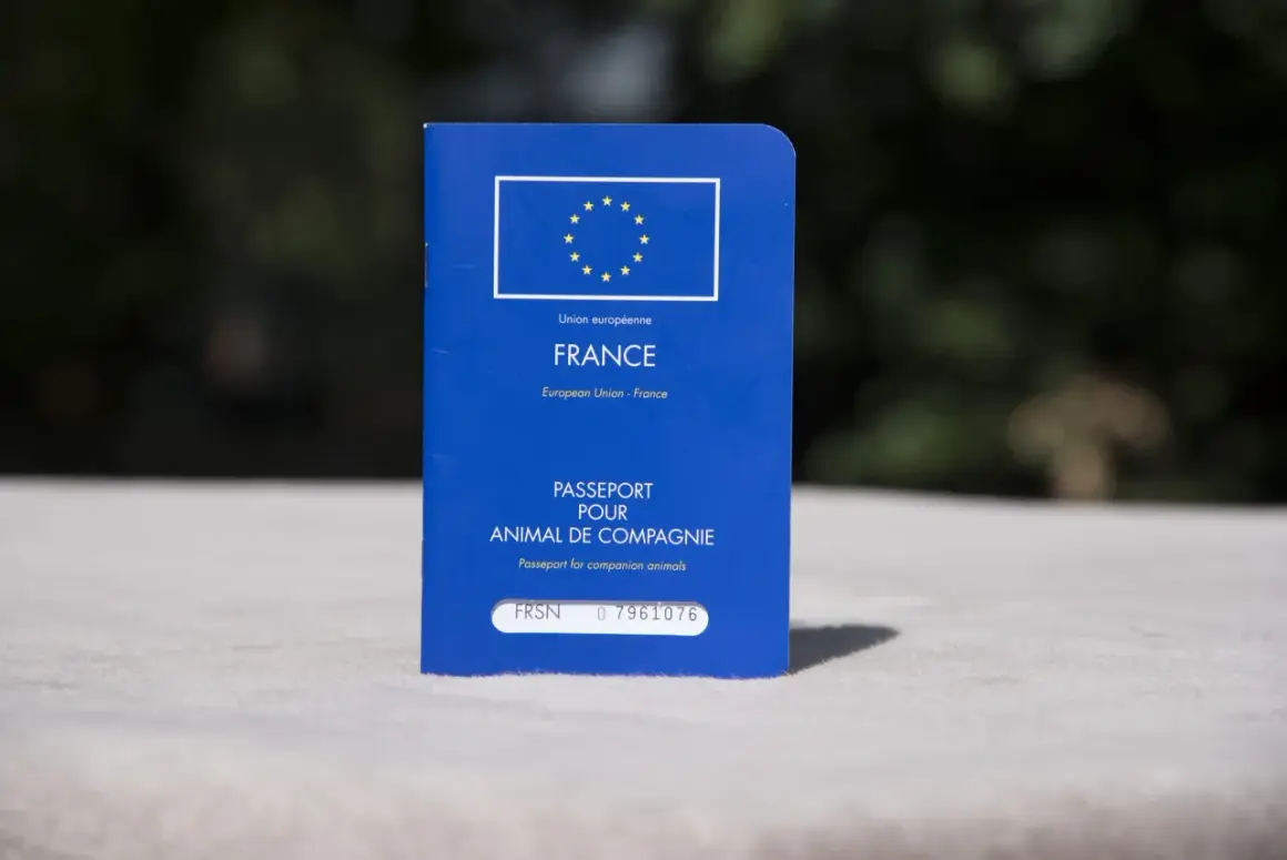 Passeport pour animal de compagnie français, avec le drapeau européen. Idéal pour voyager avec votre chien.