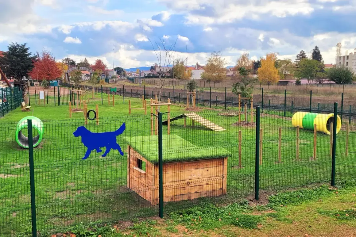 Parc d'agilité pour chiens à Nantes. Tunnel, rampes et parcours d'obstacles pour une promenade chien réussie.