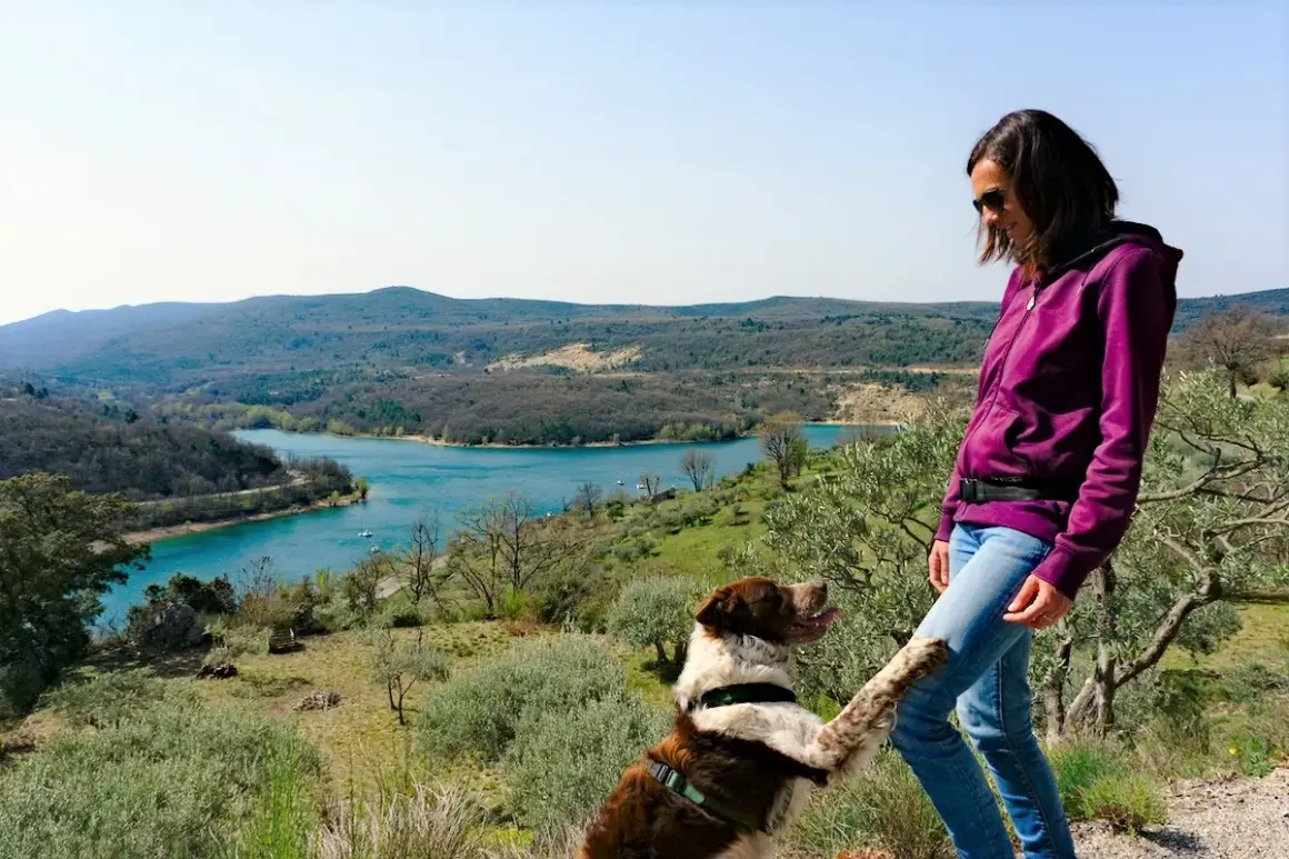 Un chien joueur lève la patte vers sa maîtresse, profitant d'une vue magnifique sur le lac de Sainte-Croix, au cœur des Gorges du Verdon.