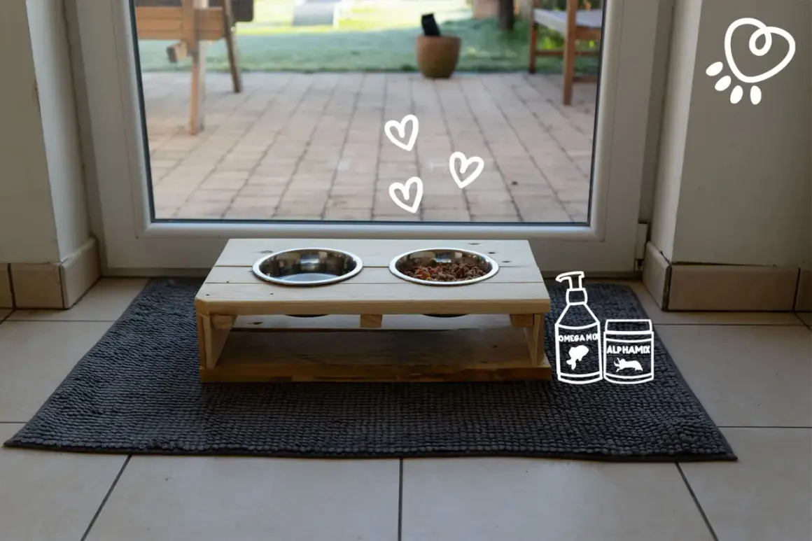 Un joli support gamelle chien bois, prêt à accueillir les repas de votre compagnon. Des cœurs flottent, symbolisant l'amour.