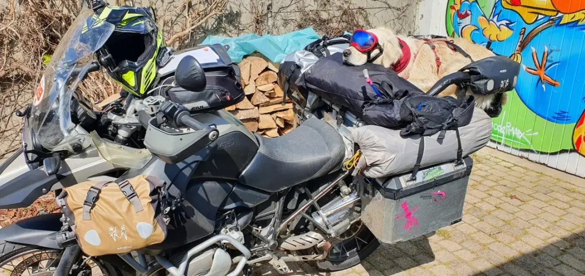 Un chien Golden Retriever, prêt pour l'aventure, est confortablement installé sur une moto chargée pour un voyage. Le transport chien quad est bien organisé.