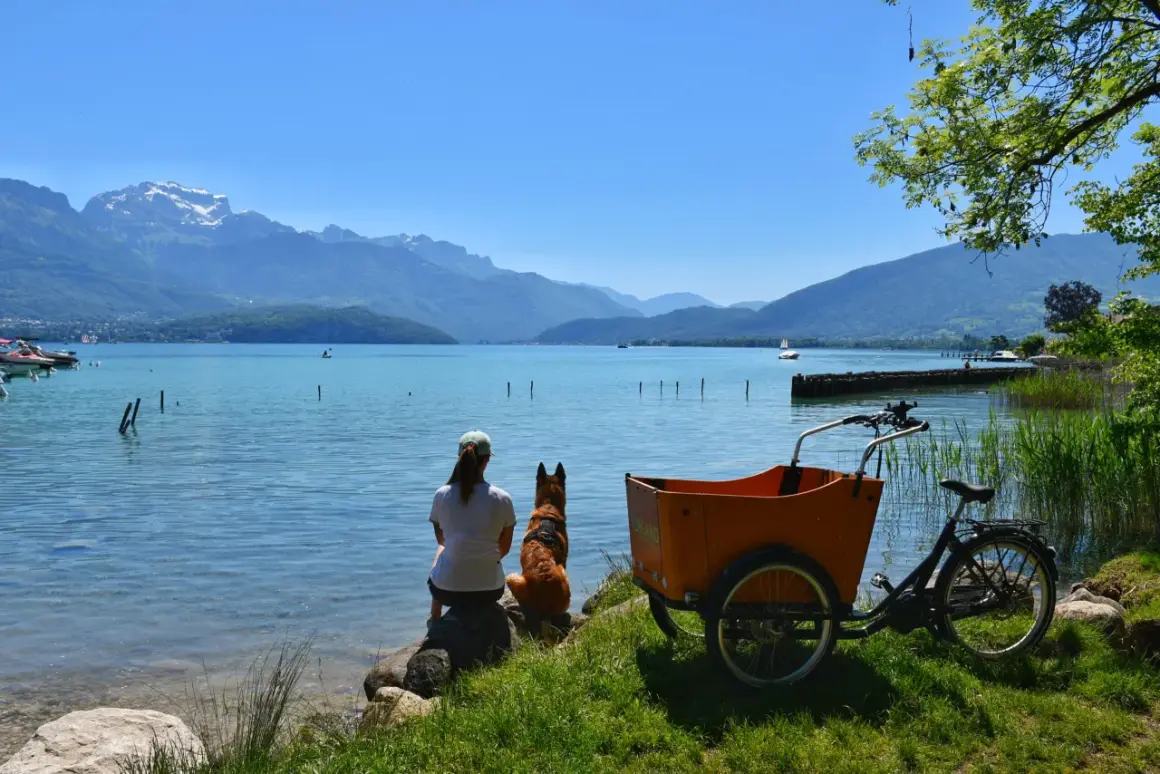 Journée paisible au lac Annecy, où un chien est autorisé à profiter de la vue avec sa maîtresse.
