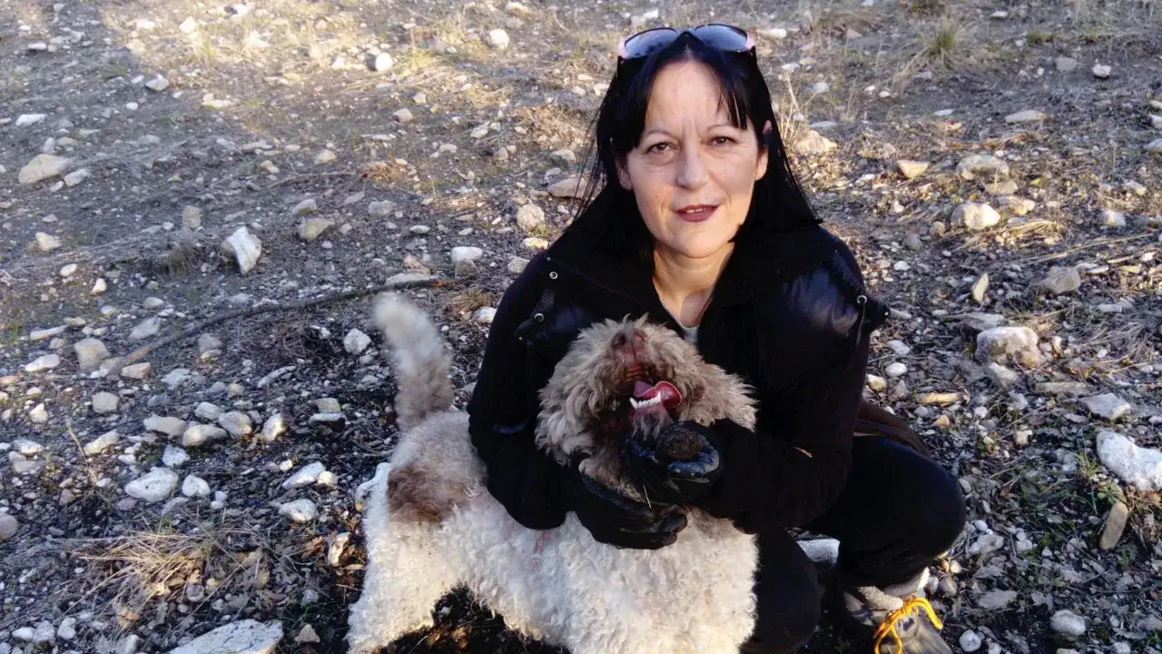 Chien truffier - réussir ses premiers exercices de cavage