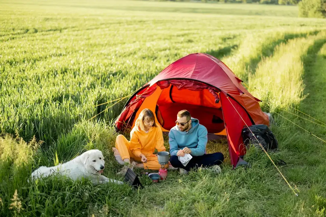 Couple et leur chien profitent d'un moment de détente lors d'un camping acceptant les chiens, au milieu d'un champ verdoyant.