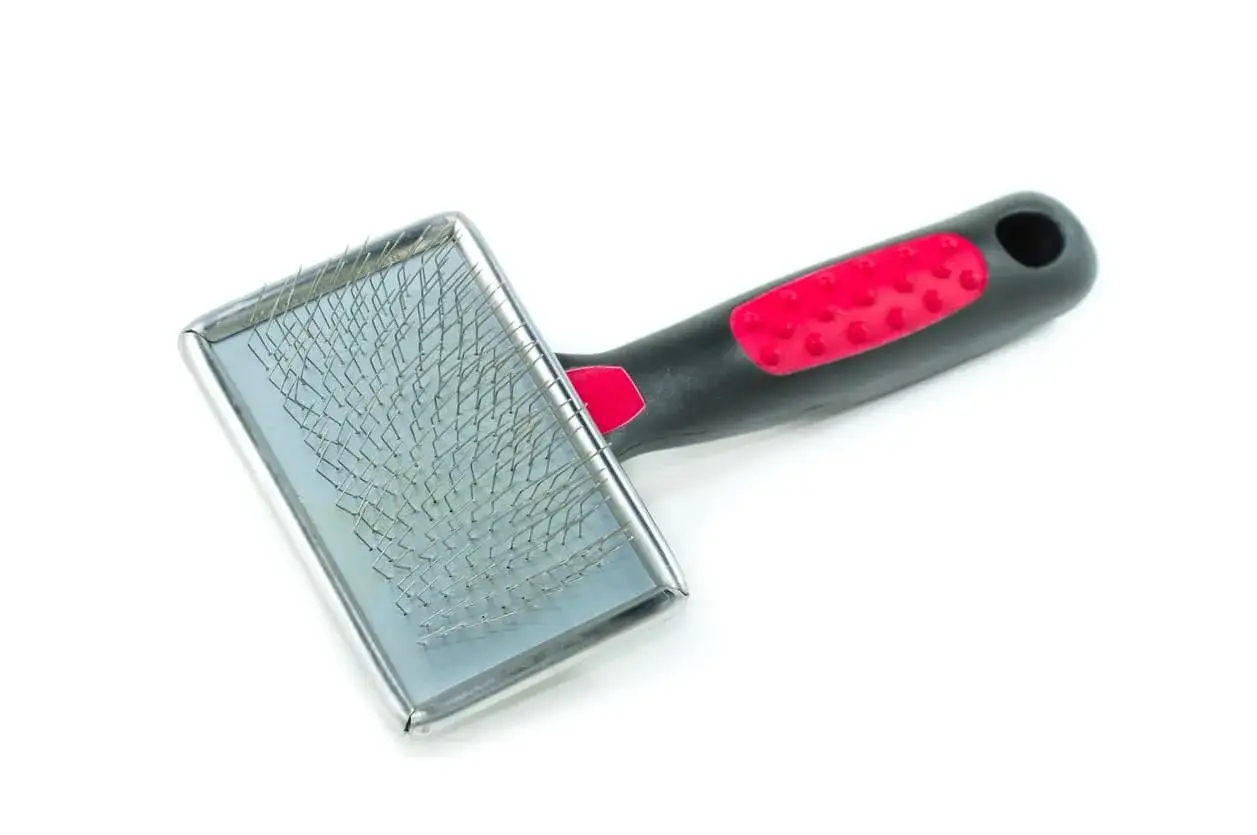 Brosse pour chien &agrave; poil court, avec manche ergonomique noir et rouge. Id&eacute;ale pour d&eacute;m&ecirc;ler et lisser le pelage de votre compagnon.