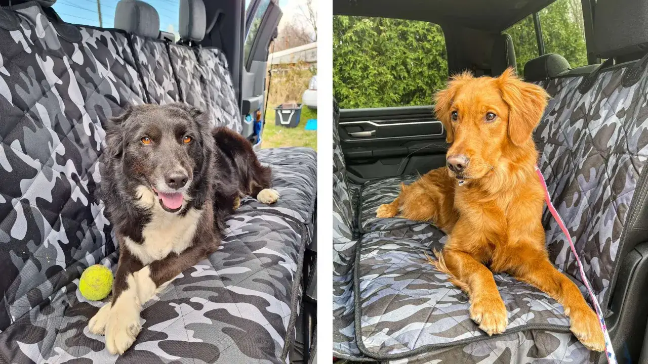 Deux chiens confortablement installés sur une protection siège voiture chien au motif camouflage.