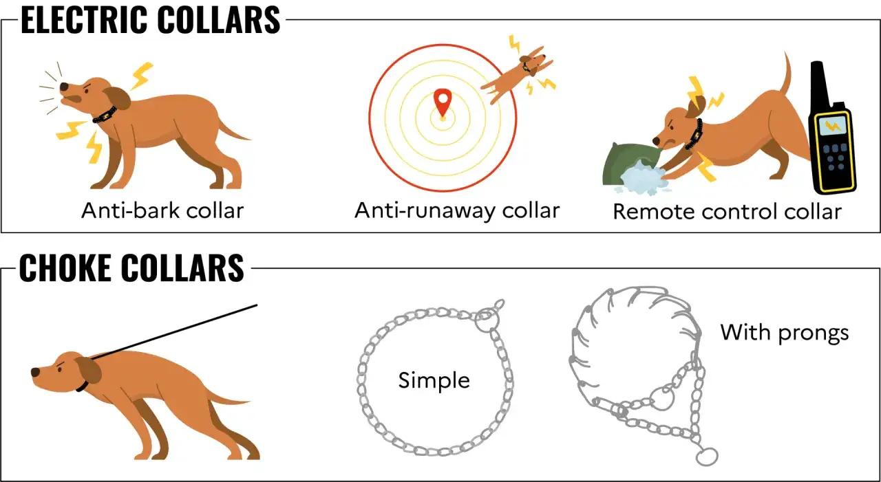 Illustration de colliers pour chiens : électriques (anti-aboiement, anti-fugue, télécommandé) et étrangleurs, dont un collier étrangleur chaîne simple.