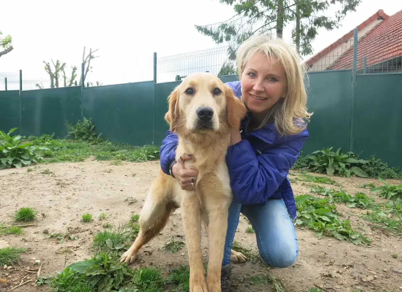 Une femme souriante c&acirc;line un jeune golden retriever, pr&ecirc;t &agrave; adopter.