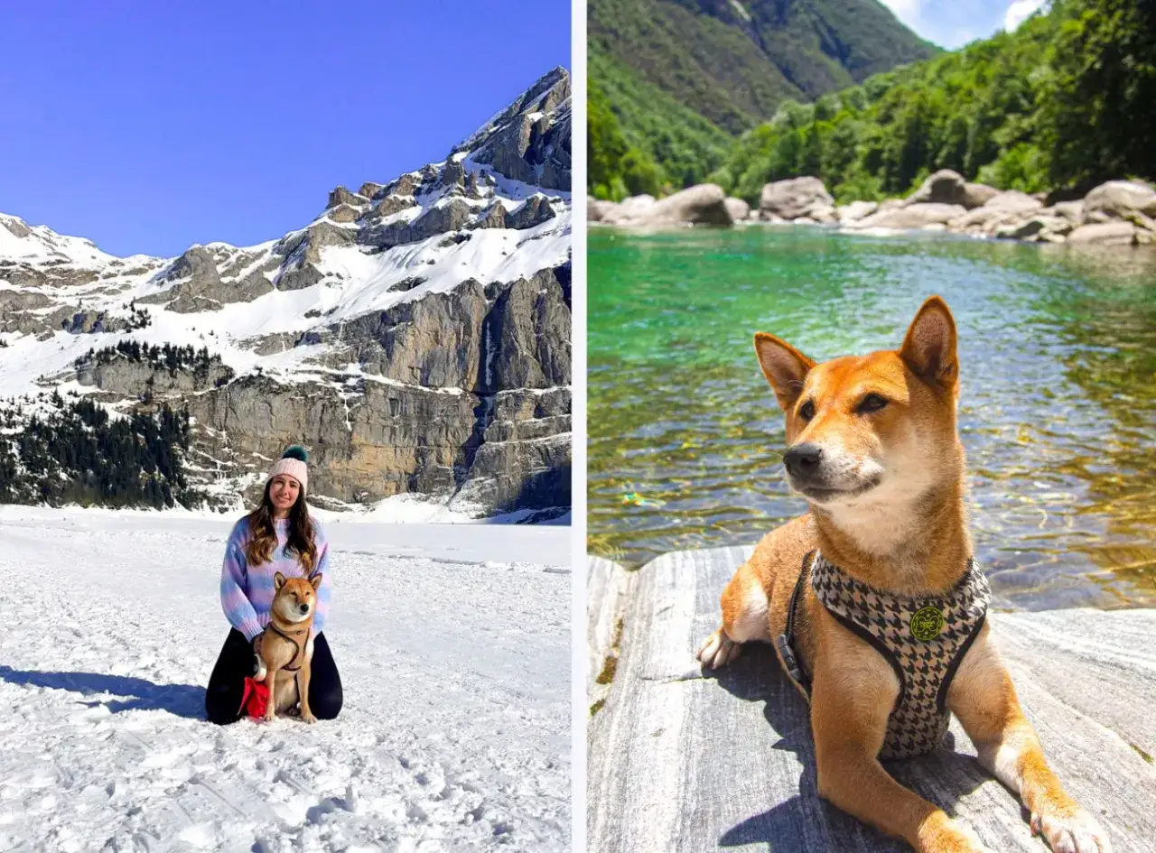 Une femme et son chien profitent de paysages variés, suggérant le meilleur pays pour voyager avec son chien.