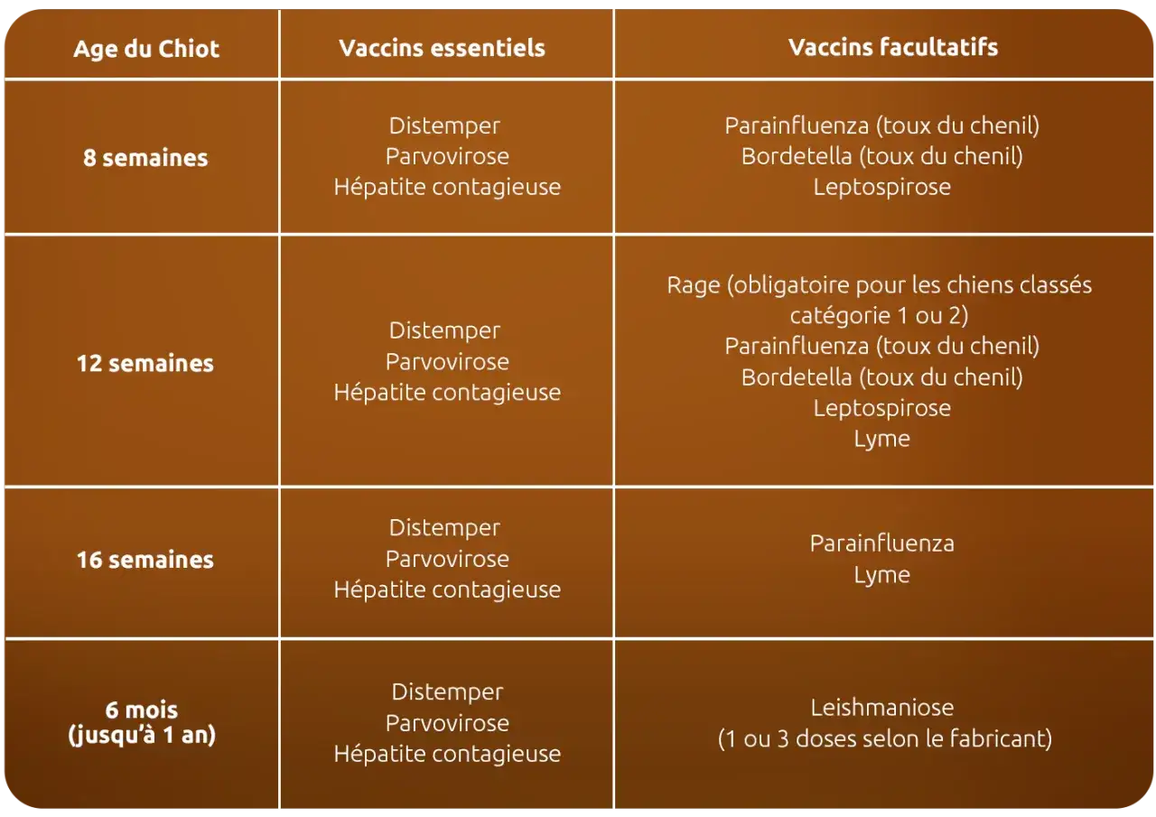 Tableau des vaccins essentiels et facultatifs pour chiots, selon leur &acirc;ge, pour une bonne sant&eacute;.