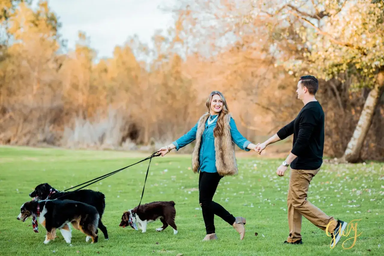 Un couple se promène dans un parc avec leurs chiens, dont un adorable berger australien bébé.
