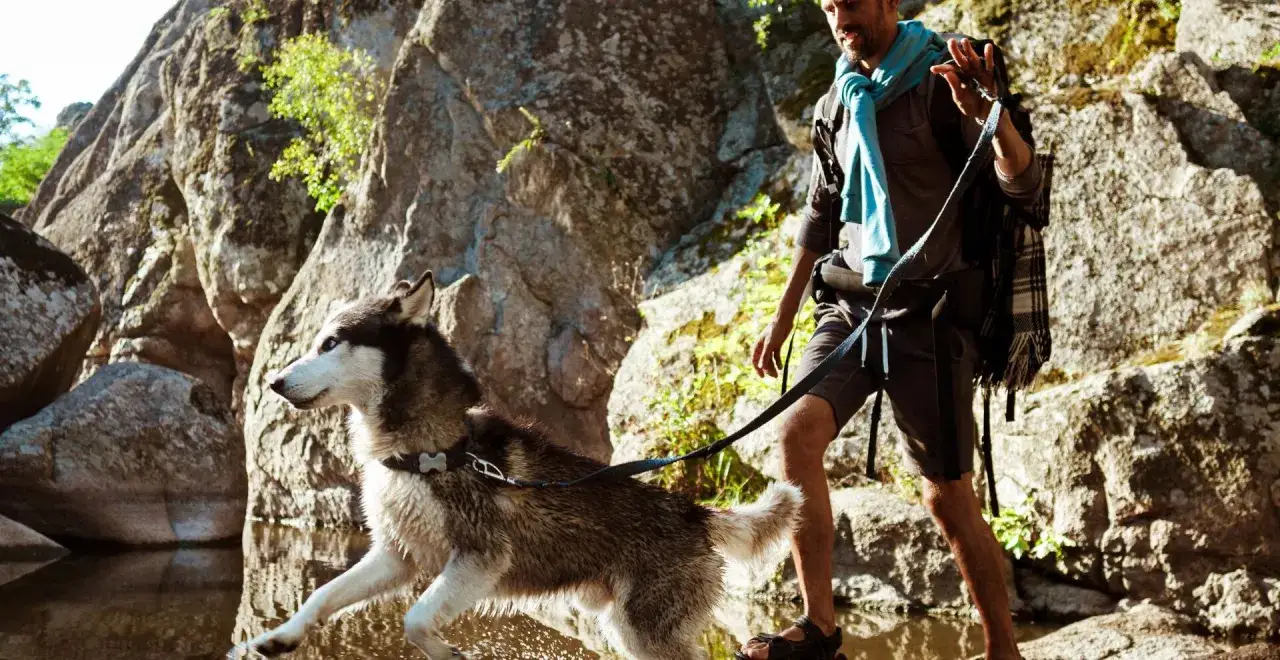 Un homme et son chien explorent les gorges de l'Ardèche, profitant d'une randonnée rocheuse près de l'eau.