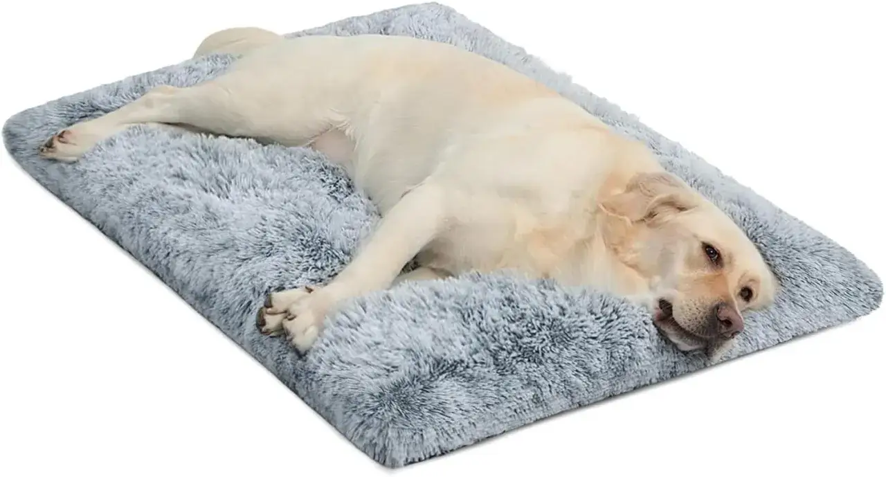 Un chien se repose paisiblement sur un tapis doux et moelleux, parfait pour son espace dans la cage.